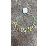 Collar coral