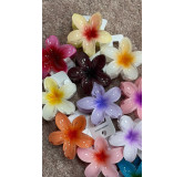 Pinza flor